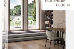 PLATINIUM-PLUS_render